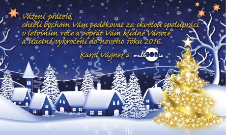pf Multis 2013